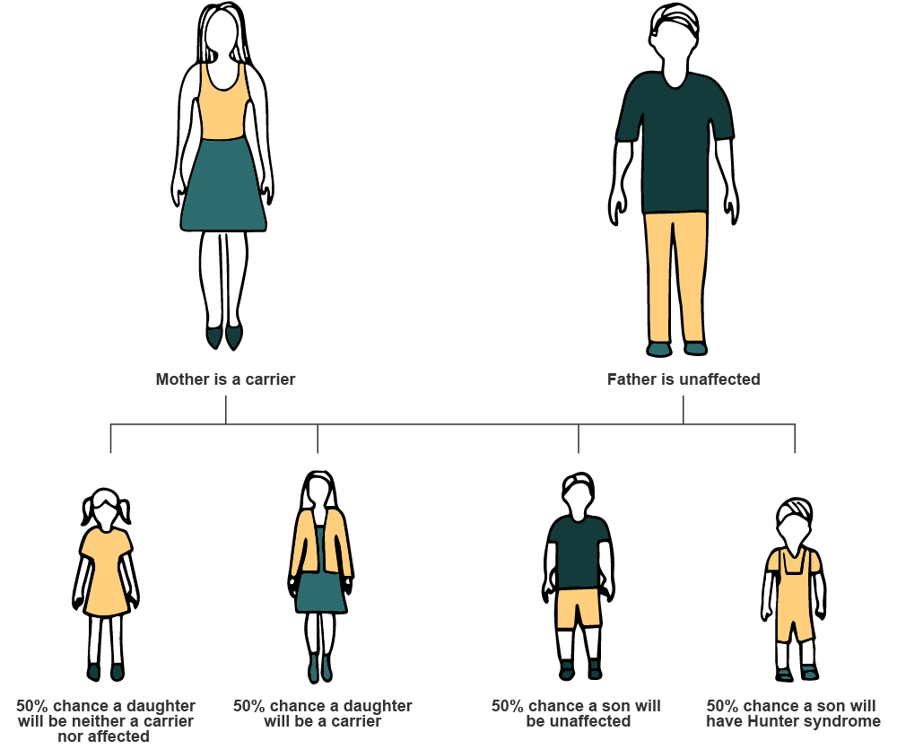 Hunter syndrome genetics scenario 1 diagram family carriers