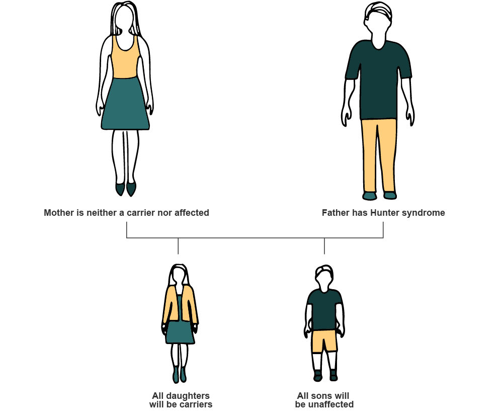 Hunter syndrome genetics scenario 2 diagram family carriers