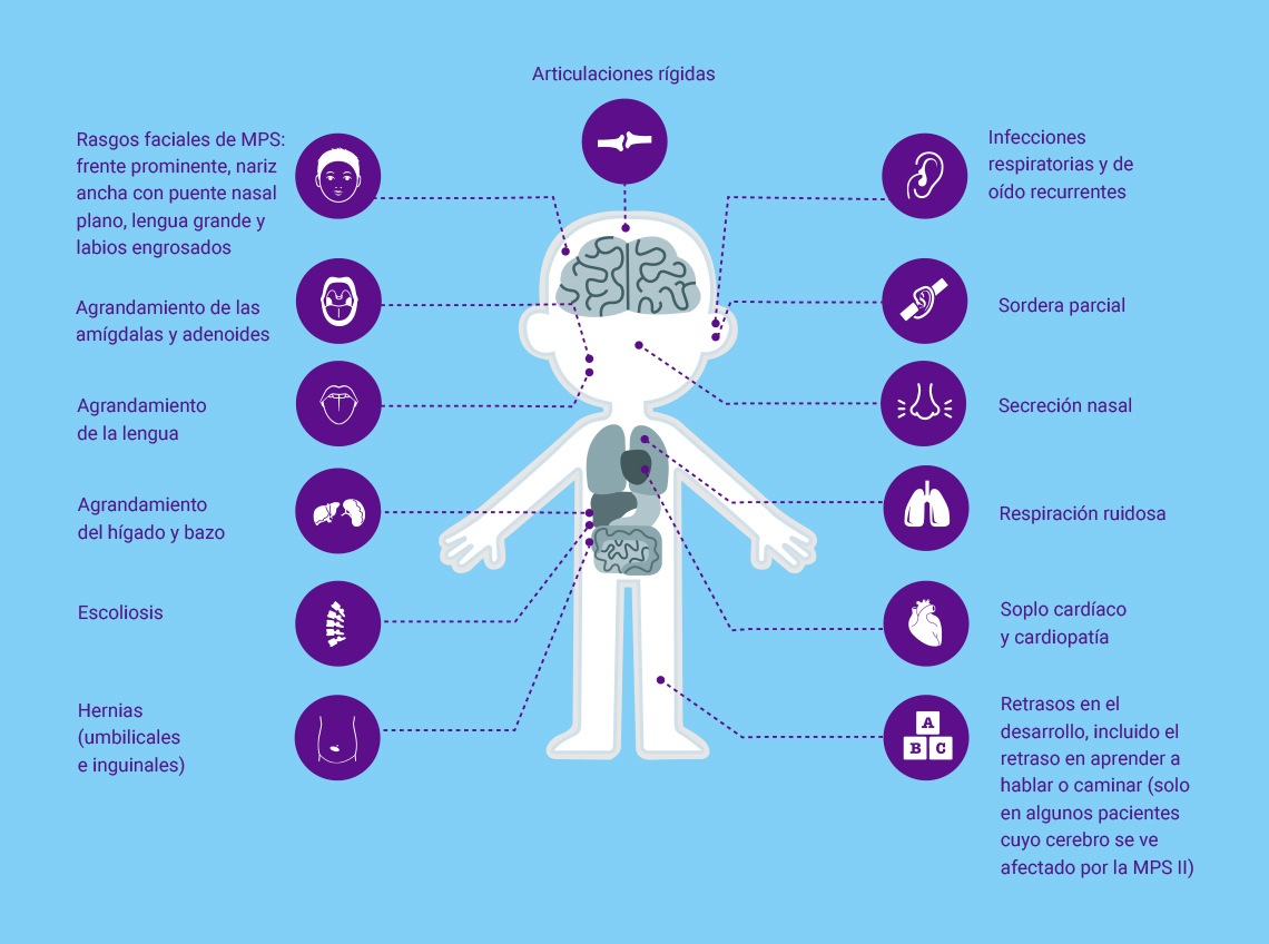 Key symptoms